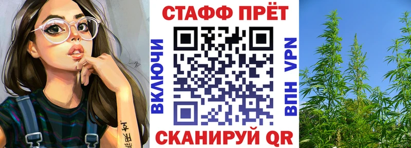 Купить Ленинградская СК Гашиш
