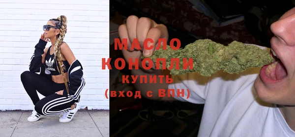 индика Богородск