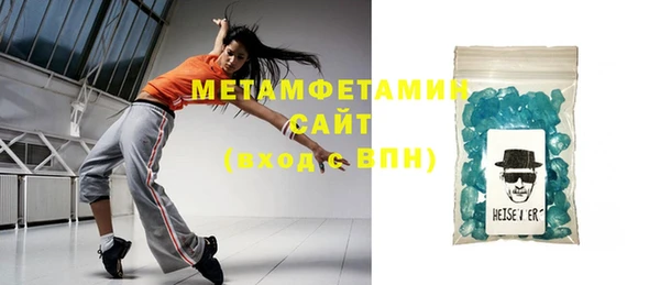 индика Богородск