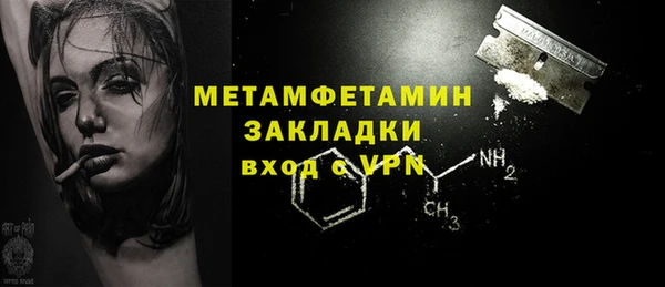индика Богородск