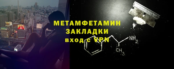 индика Богородск