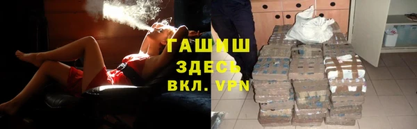 индика Богородск