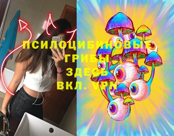 гидропоника Богородицк