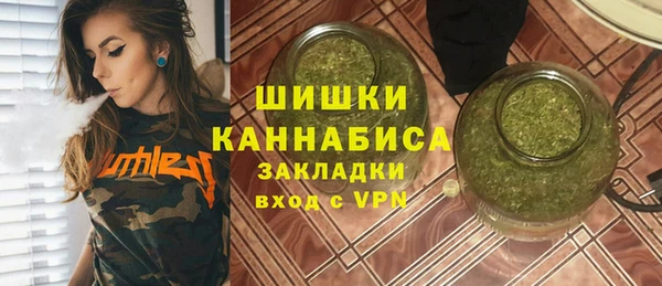 индика Богородск