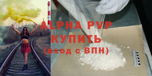 индика Богородск