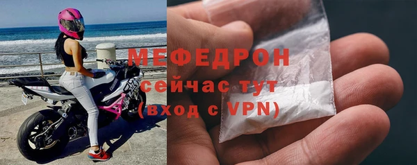 индика Богородск