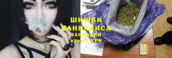 индика Богородск