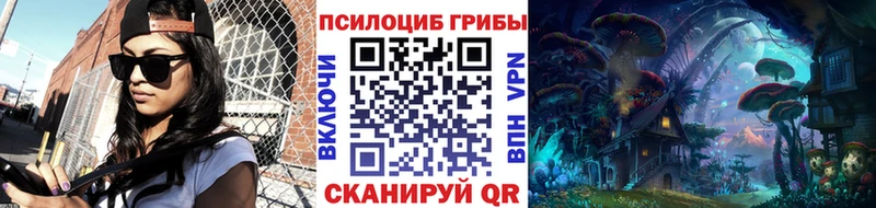 Галлюциногенные грибы Psilocybine cubensis  Ленинградская 
